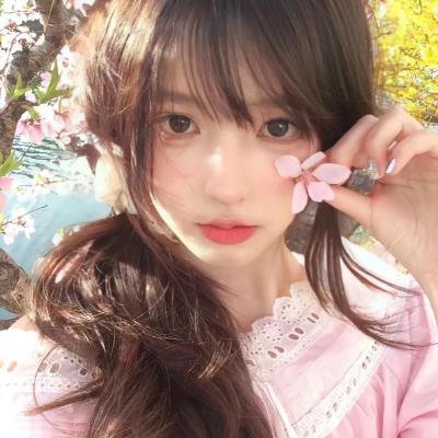 野探哈莉第四季