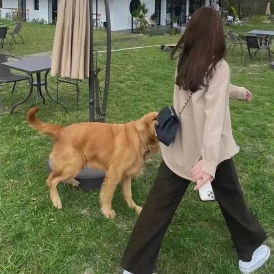 既然出生就环游世界3